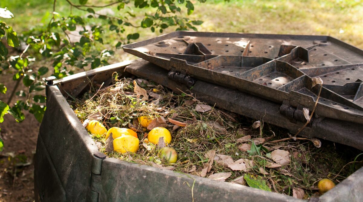 Small outdoor composting bin for recycling kitchen and garden organic waste